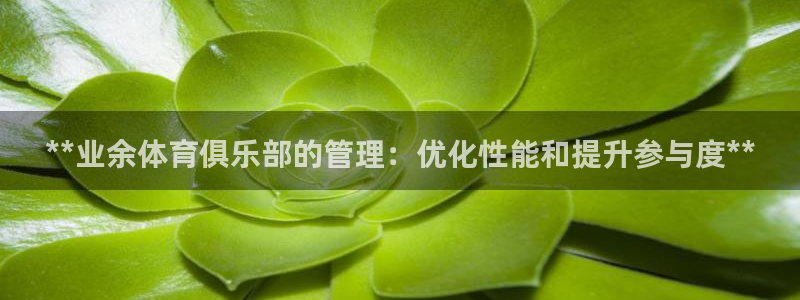 必一体育sport装