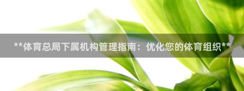 必一体育官方网站入口