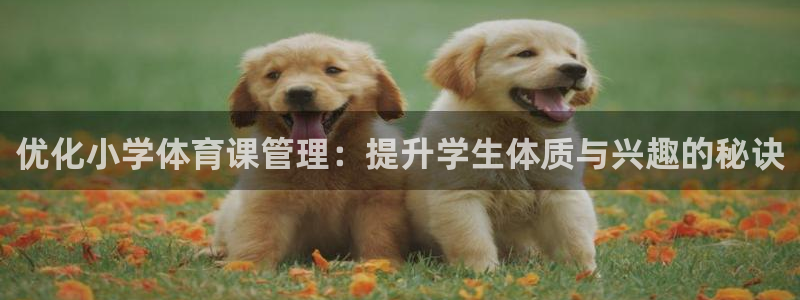 必一体育sport下
