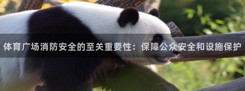 Bsport体育必一
