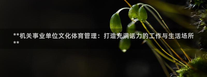 必一运动B-Spor
