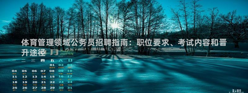 必一体育bsport
