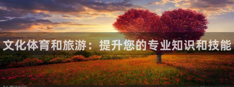 Bsport体育app必一：文化体育和旅游：提升您的专业知识