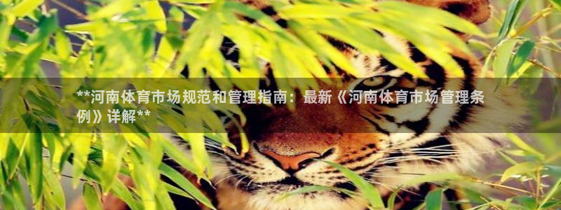 必一体育合法吗：**