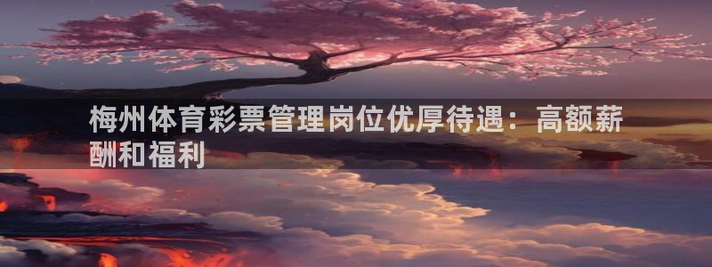 必一体育周公：梅州体