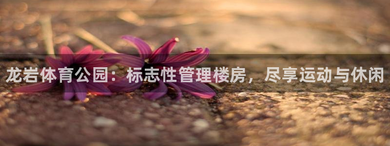 b体育必一下载：龙岩