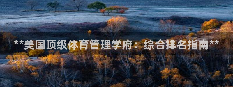 b体育官网下载入口a