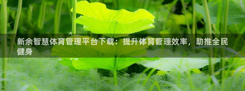 必一体育下载登入：新