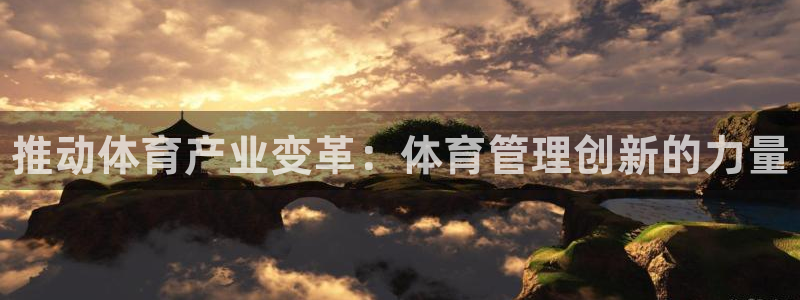 必一体育运动app：推动体育产业变革：体育管理创新的力量