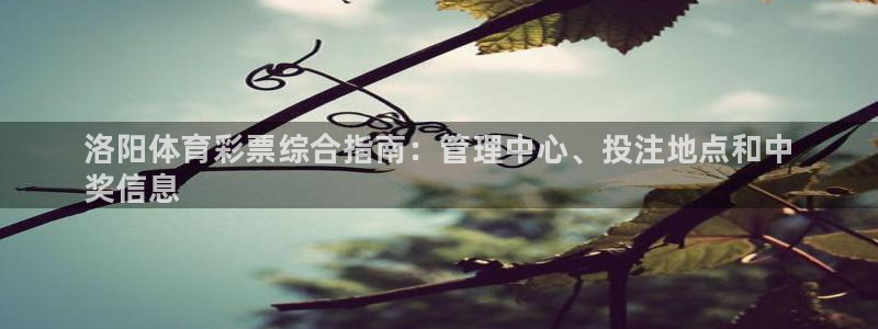 必一体育运动app下