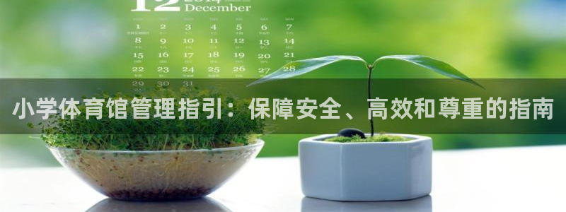 必一体育在线官网：小学体育馆管理指引：保障安全、高效和尊重的