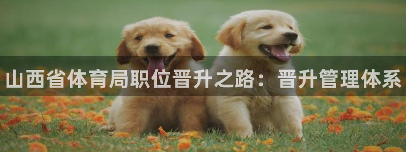 必一体育秀给网：山西