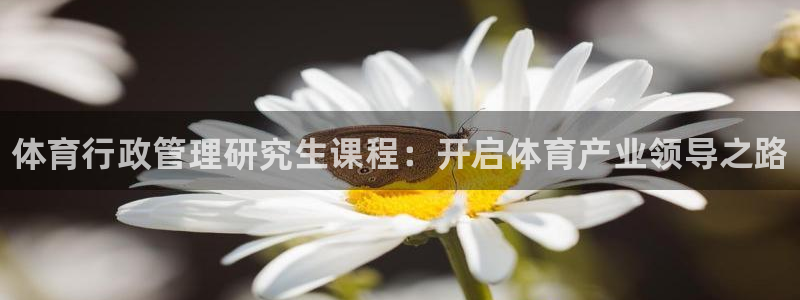 必一体育下载意思：体