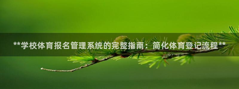 必一体育下载移动版：**学校体育报名管理系统的完整指南：简化