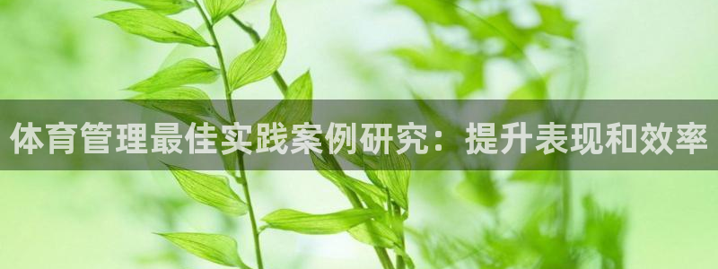 必一运动官网平台：体育管理最佳实践案例研究：提升表现和效率