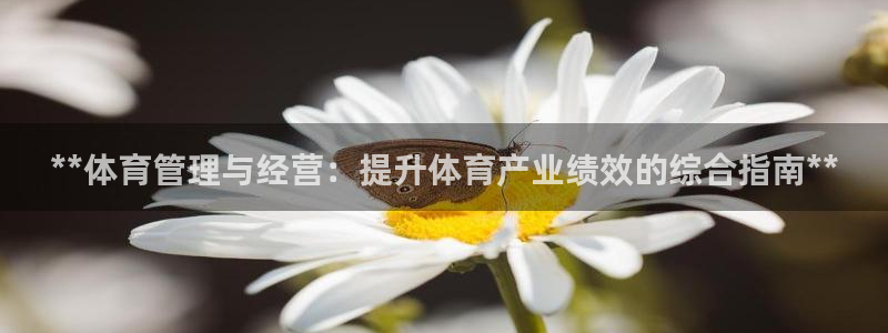 必一体育app官方正版下载：**体育管理与经营：提升体育产业