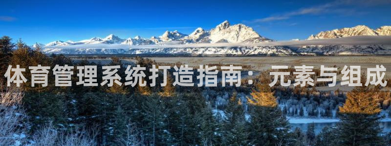 必一体育下载意思：体育管理系统打造指南：元素与组成